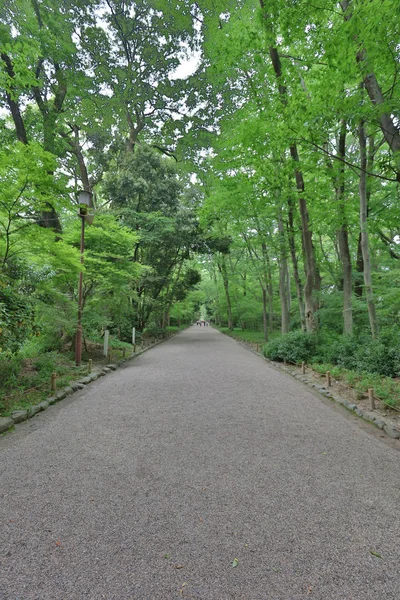 Maple Φύλλα Περίφημο Shimogamo Jinja Στο Κιότο Της Ιαπωνίας — Φωτογραφία Αρχείου