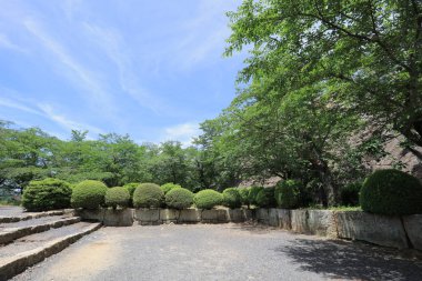 Tsuyama görünümü kale ve Japonya yaz saati