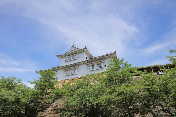 Tsuyama Castle View Summer Time Japan — Stock Photo, Image