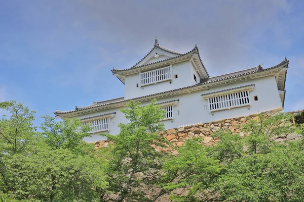 Tsuyama Castle View Summer Time Japan — Stock Photo, Image