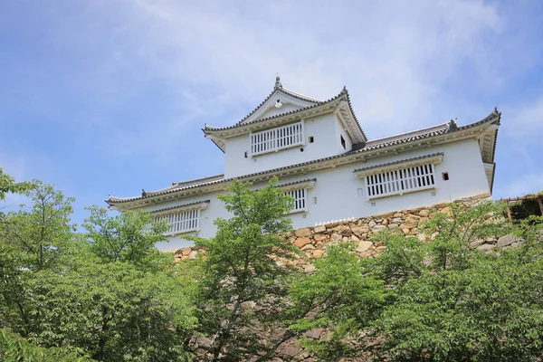 Tsuyama Hrad Pohled Letní Čas Japonsko — Stock fotografie