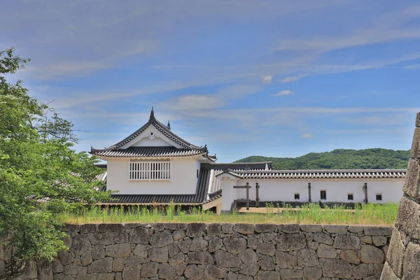 Vue Sur Château Tsuyama Été Japon — Photo