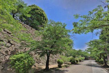 Tsuyama görünümü kale ve Japonya yaz saati