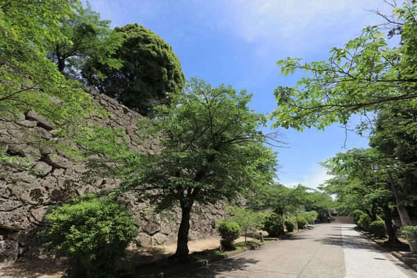 Tsuyama görünümü kale ve Japonya yaz saati