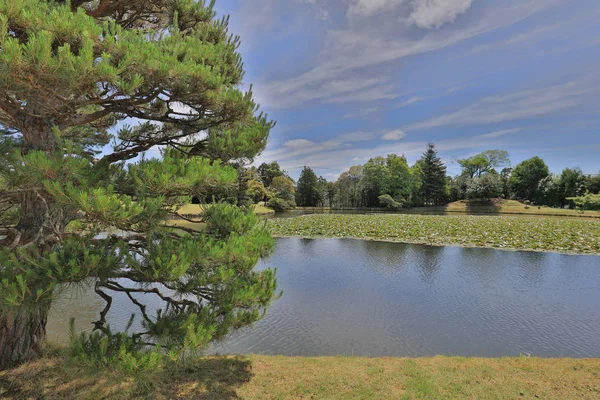 Japon Peyzaj Bahçe Shuraku e adlı bir görünüm