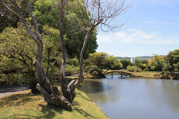 Japon Peyzaj Bahçe Shuraku e adlı bir görünüm