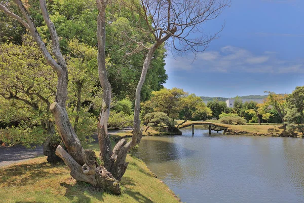 Japon Peyzaj Bahçe Shuraku e adlı bir görünüm