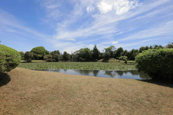 Japon Peyzaj Bahçe Shuraku e adlı bir görünüm