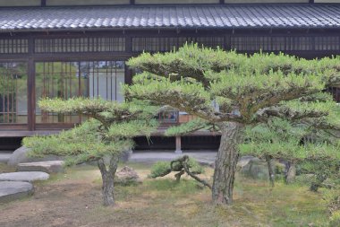 Takamatsu kalede Takamatsu Japon Bahçe, 