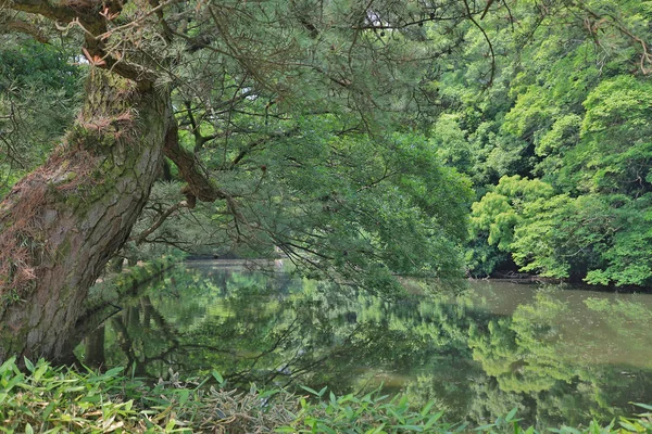 Ritsurin Bahçe Kagawa Prefecture, Japonya