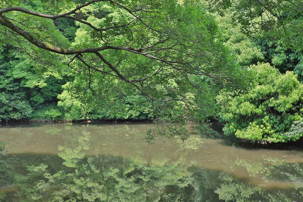 Ritsurin Garden Prefectura Kagawa Japón — Foto de Stock