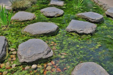 Ritsurin Bahçe Kagawa Prefecture, Japonya