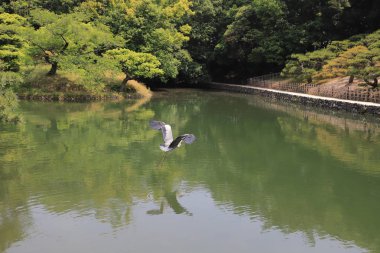 Ritsurin Bahçe Kagawa Prefecture, Japonya