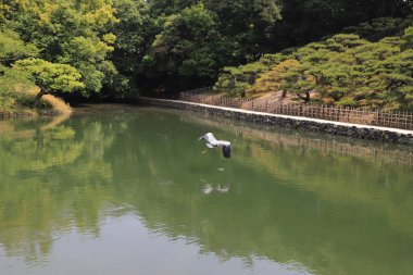 Ritsurin Bahçe Kagawa Prefecture, Japonya