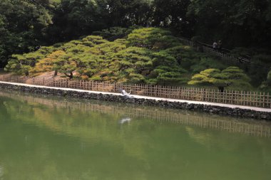 Ritsurin Bahçe Kagawa Prefecture, Japonya