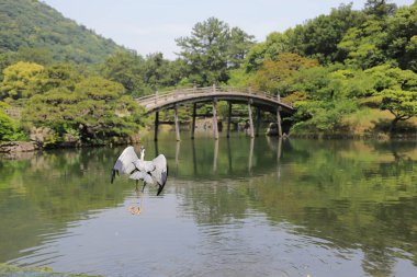 Ritsurin Bahçe Kagawa Prefecture, Japonya