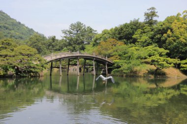 Ritsurin Bahçe Kagawa Prefecture, Japonya