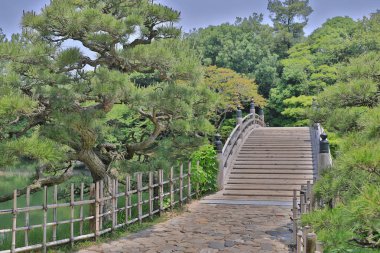 Ritsurin Bahçe Kagawa Prefecture, Japonya
