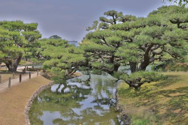 Ritsurin Bahçe Kagawa Prefecture, Japonya