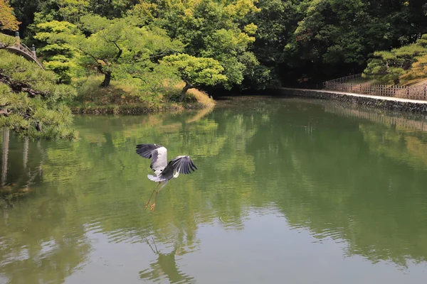 日本の誇る栗林公園香川県 — ストック写真