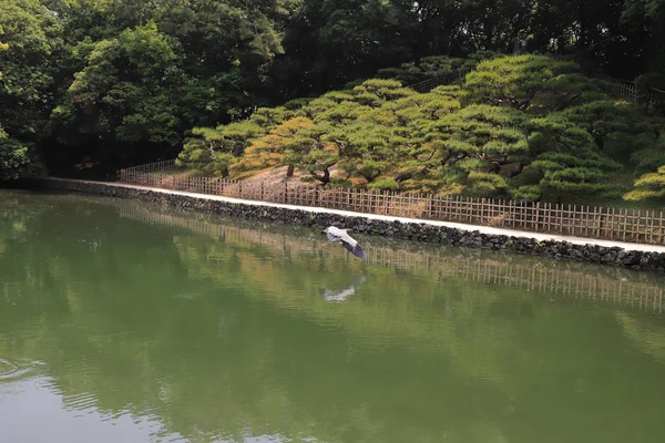 Ritsurin Garden Prefectura Kagawa Japón —  Fotos de Stock