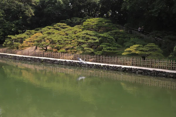 Ritsurin Bahçe Kagawa Prefecture, Japonya