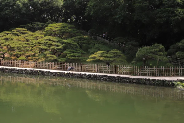 Ένας Κήπος Ritsurin Kagawa Νομός Στην Ιαπωνία — Φωτογραφία Αρχείου