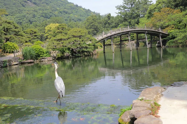 Ritsurin Garden Prefectura Kagawa Japón — Foto de Stock