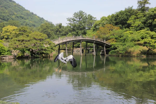 Ritsurin Bahçe Kagawa Prefecture, Japonya