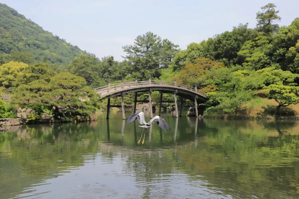 Ritsurin Bahçe Kagawa Prefecture, Japonya
