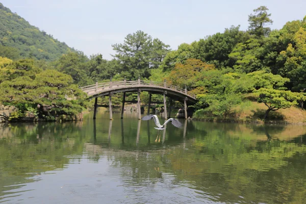 Ritsurin Bahçe Kagawa Prefecture, Japonya