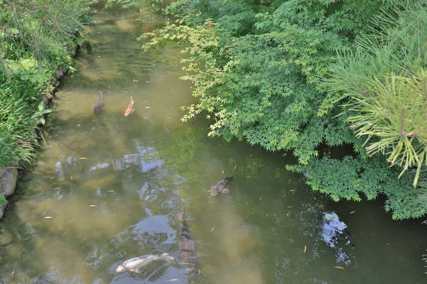 Een Ritsurin Tuin Kagawa Prefectuur Japan — Stockfoto