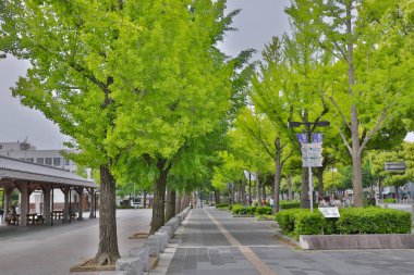 Miras sitedir, en çok ziyaret edilen kale 