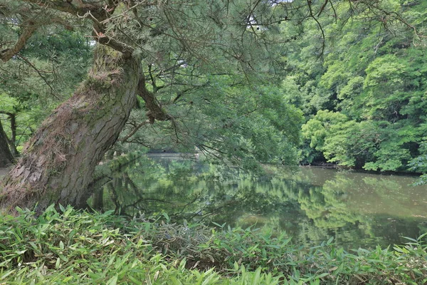 Zen Bahçe Ritsurin Park Takamatsu Shikoku Japonya — Stok fotoğraf