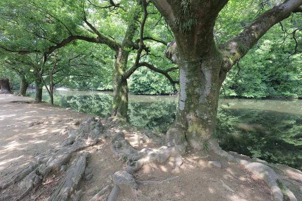 Zen Bahçe, Ritsurin Park, Takamatsu, Shikoku, Japonya