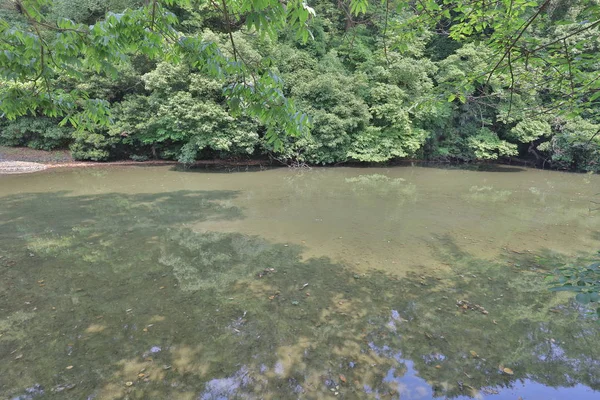 Zen Bahçe, Ritsurin Park, Takamatsu, Shikoku, Japonya