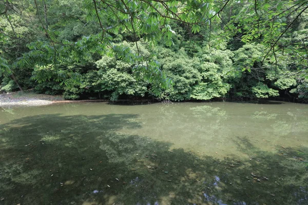 Zen Bahçe, Ritsurin Park, Takamatsu, Shikoku, Japonya