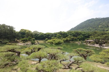 Zen Bahçe, Ritsurin Park, Takamatsu, Shikoku, Japonya