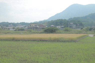 pencere görünümünden tren dışında Japonya