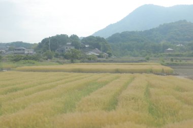 pencere görünümünden tren dışında Japonya