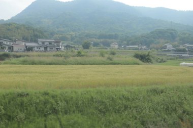 pencere görünümünden tren dışında Japonya