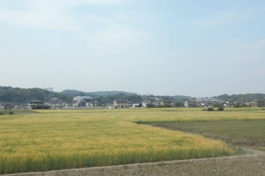 pencere görünümünden tren dışında Japonya