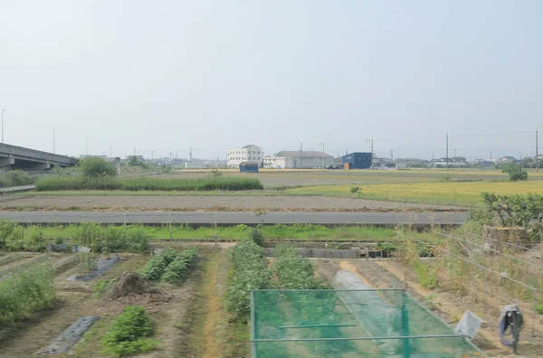 pencere görünümünden tren dışında Japonya