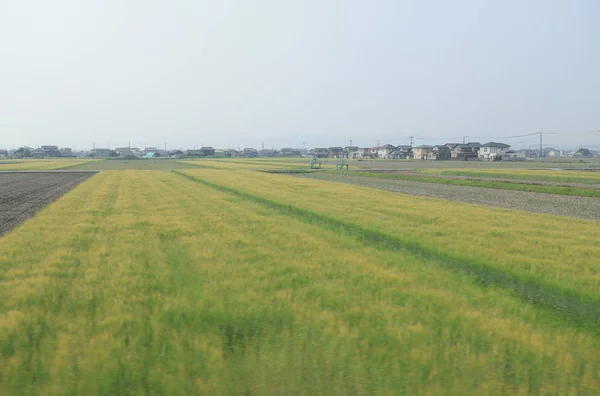 Dari Tampilan Jendela Keluar Dari Kereta Api Jepang — Stok Foto