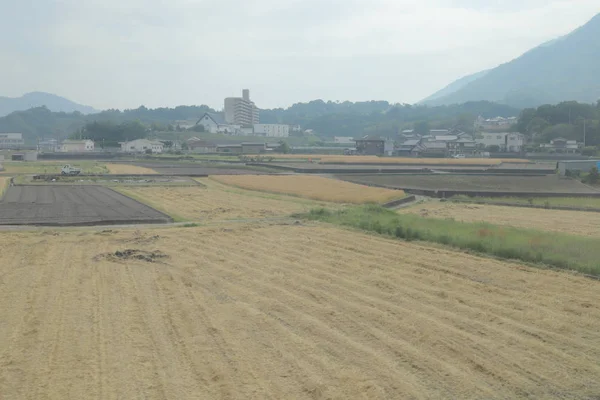 pencere görünümünden tren dışında Japonya