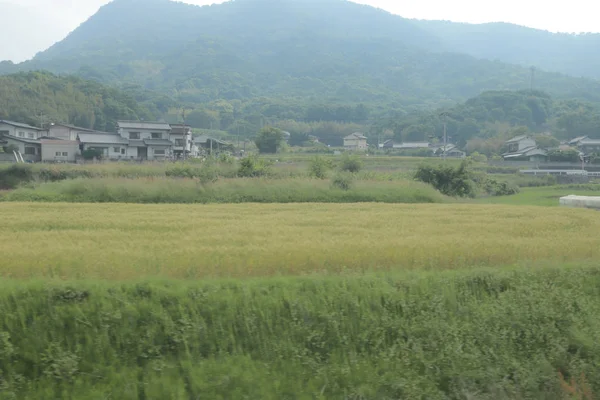 pencere görünümünden tren dışında Japonya