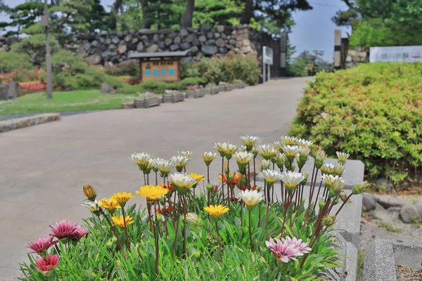 Una Foto Del Parterre Del Jardín Luz Del Sol — Foto de Stock