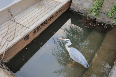 Kurashiki Japonya, Bikan tarihi bölgesi.