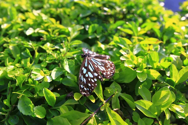 Vista Naturaleza Sai Kung Hong Kong —  Fotos de Stock