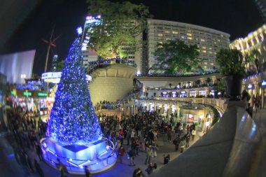 1881 miras Hong Kong 2010 yılında Noel ağacı